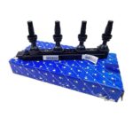 کوئل تارا شرکتی
