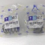 فنر سوپاپ XUM-XUP اصلی ایساکو - تصویر 2