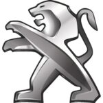 کلید فلاشر 206 تک پل اورجینال فرانسه - تصویر 2