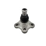 سیبک طبق تارا شرکتی