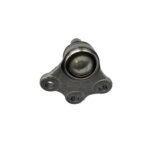 سیبک طبق تارا شرکتی - تصویر 2